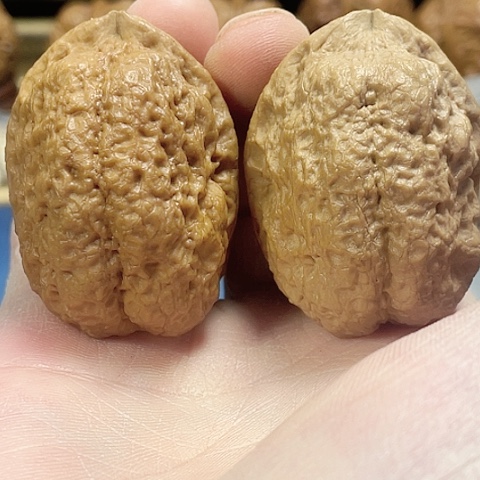 文玩核桃把件镇妖塔带彩油阴色差39