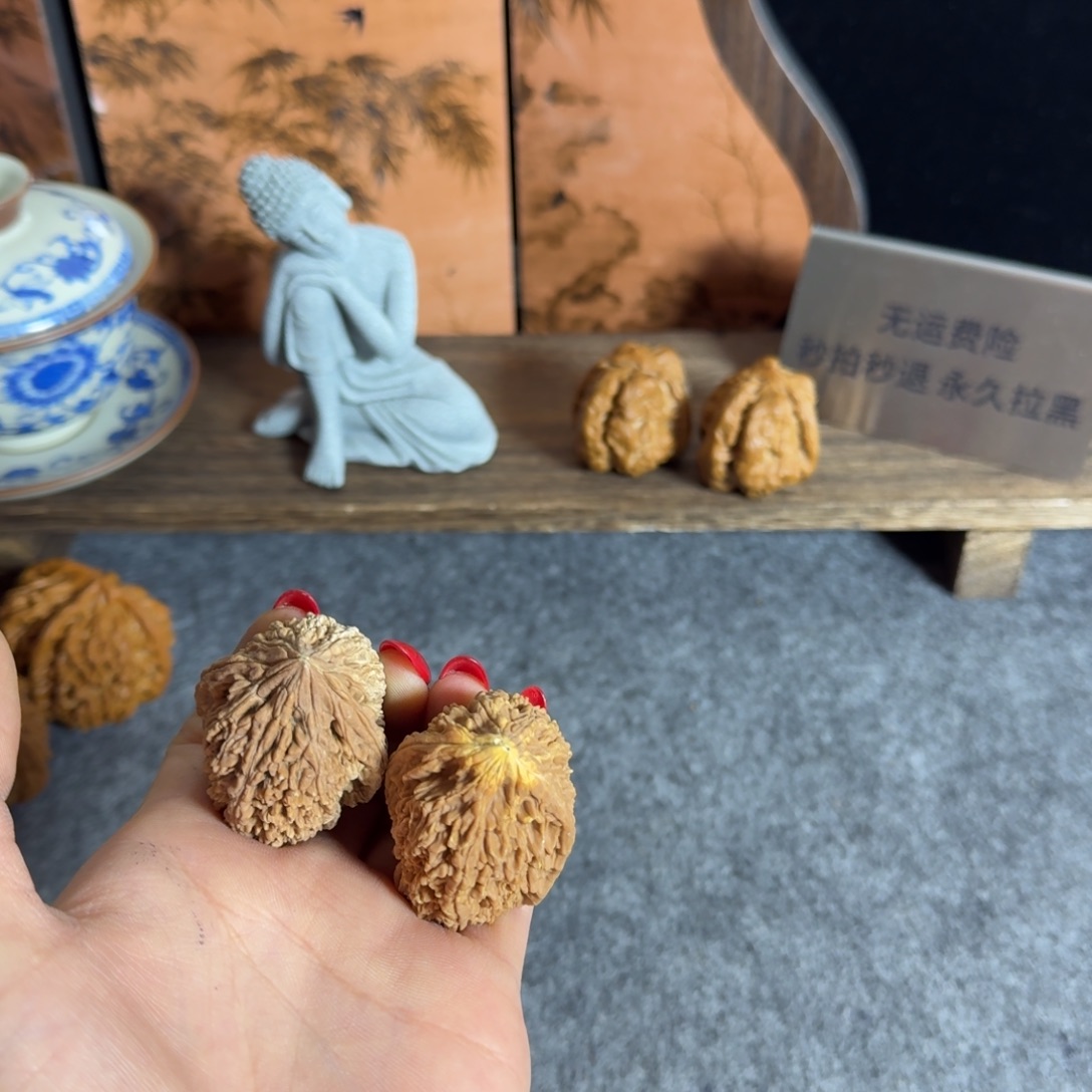 蒜头黄金甲不退换