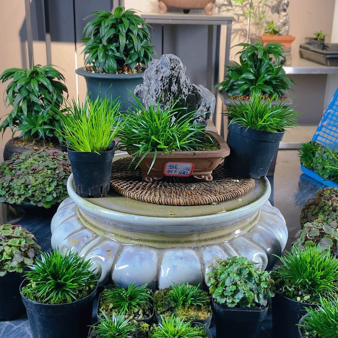 【闪购商品】完全开放