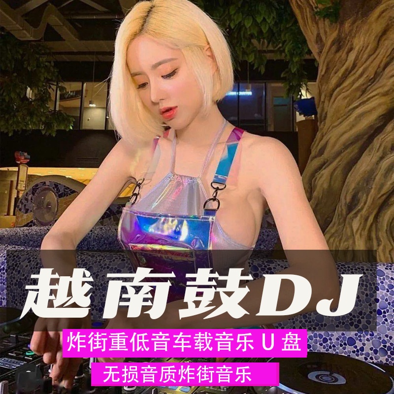 车载u盘巴铁神曲越南鼓-怪我无情dj重低音劲爆舞曲串烧的士高音乐