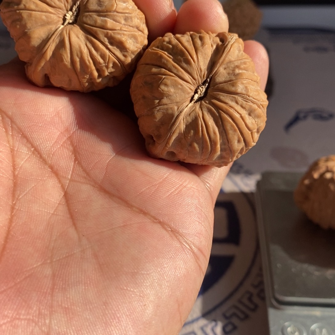 x***n大叶紫檀（黑酸枝木类）南瓜
