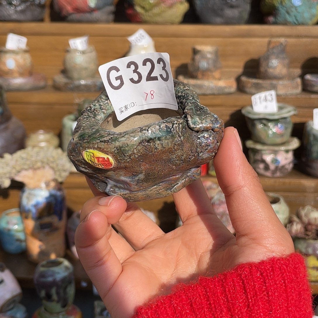 坛子姐花盆小白孤品 内口3.5*4