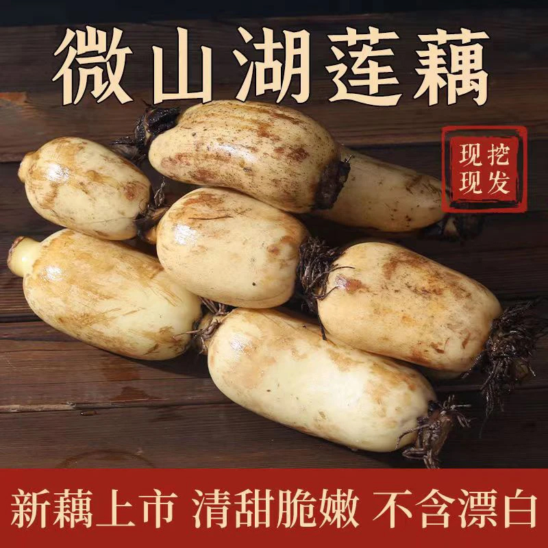 【寒冬地区专属】中果微山湖莲藕连藕莲菜新鲜原生态源头发8-10节
