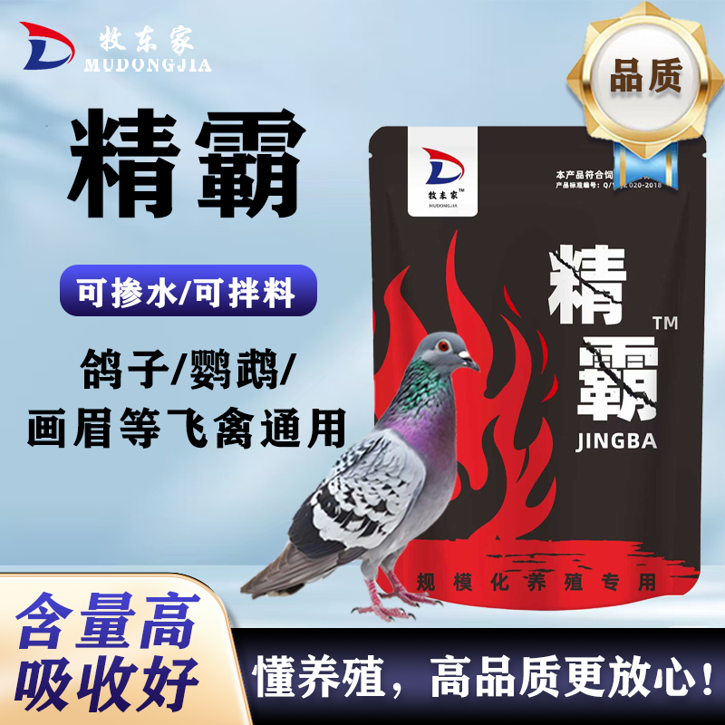 【精霸】鸽子鸟不踩背不下蛋下软壳蛋无精蛋不配对专用公母通用