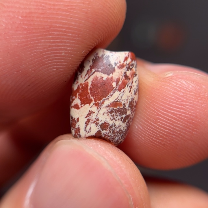 11111111111111111111