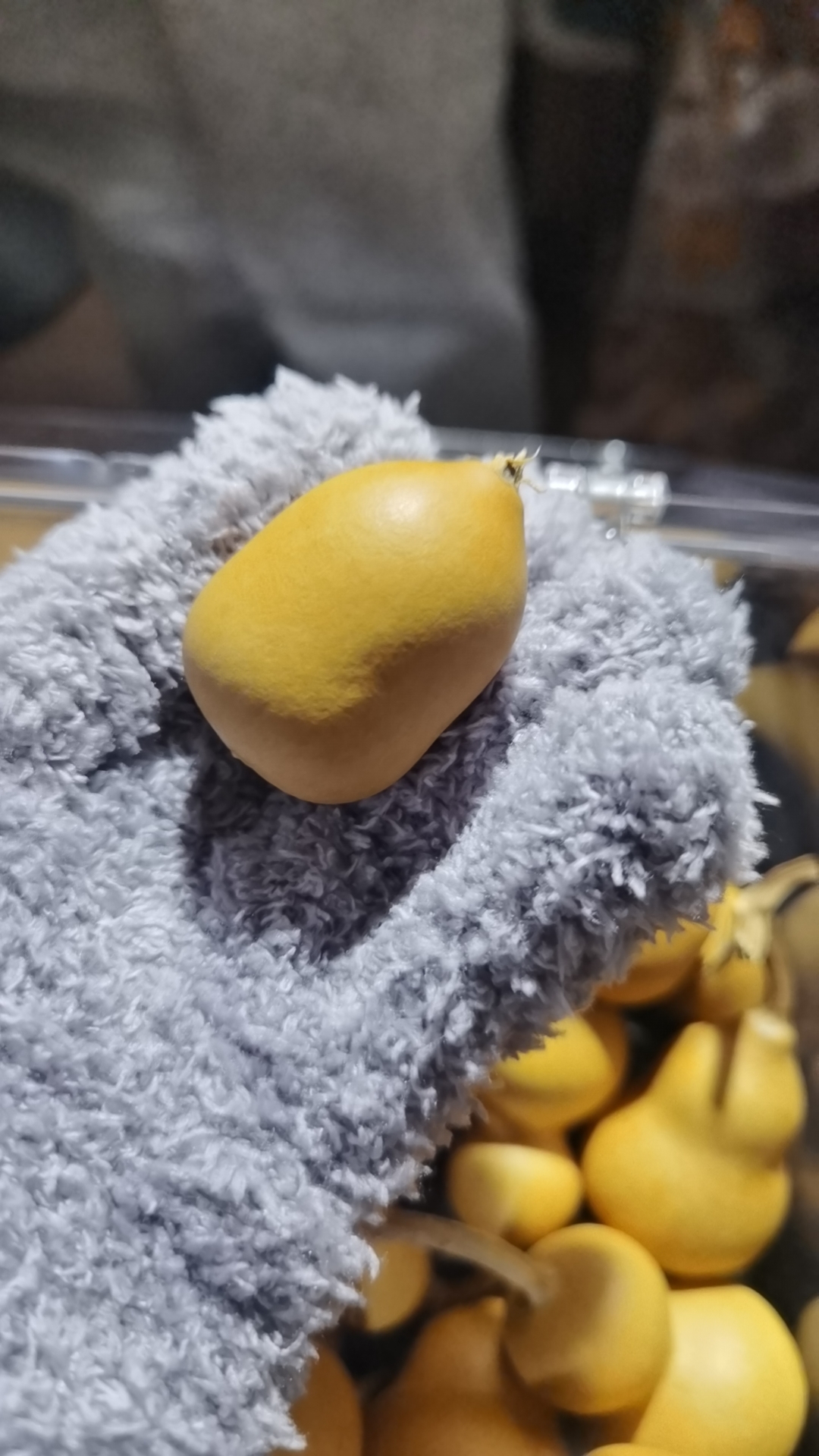 天然雕刻葫芦摆件