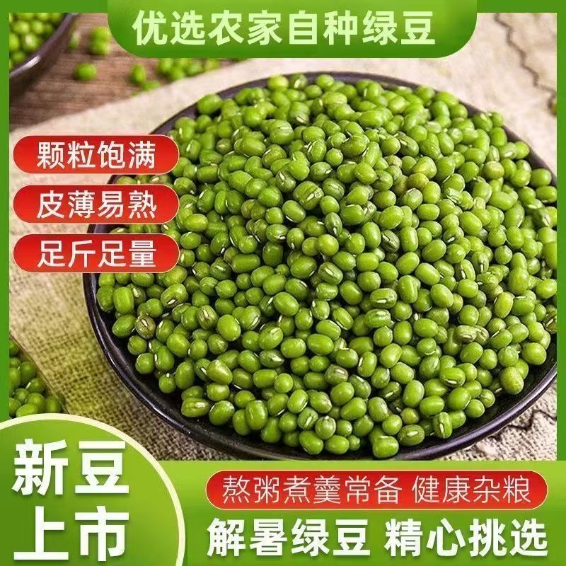 新货2025年自产新鲜小绿豆皮薄解暑绿豆汤发豆芽专用
