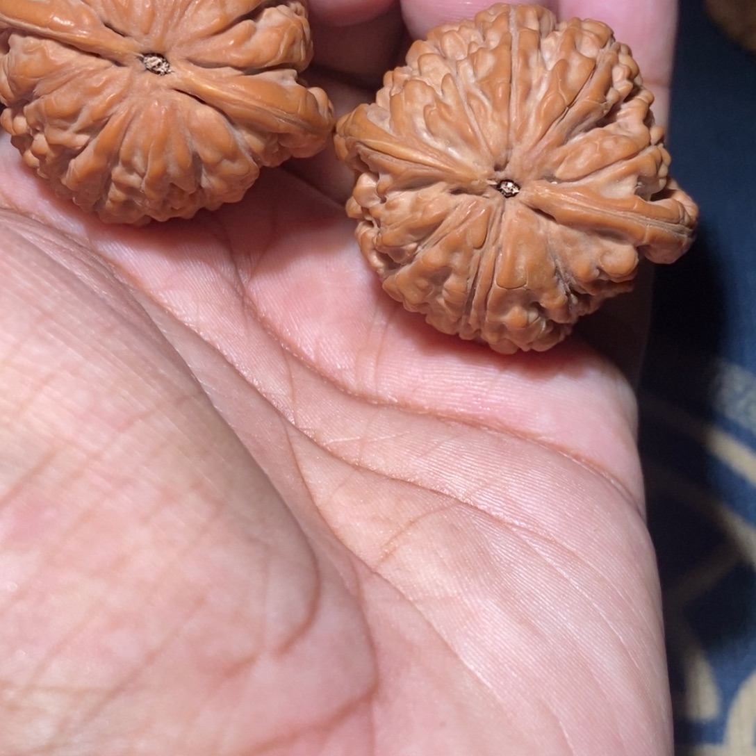 文玩核桃吊坠39尺寸全品无修莲花虎头