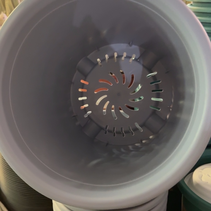 四季8号无托雾霾蓝5个