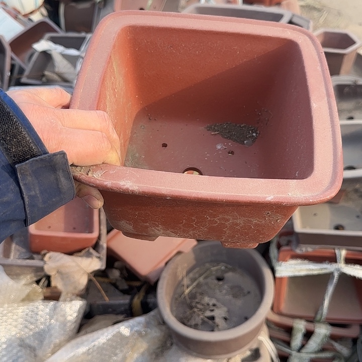 你要吃好了我才给他们打了两天就