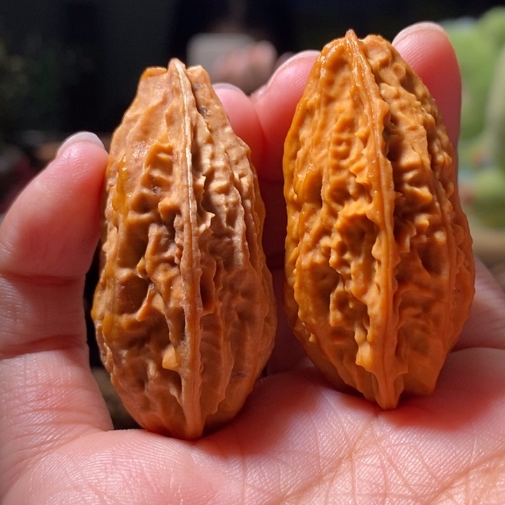 文玩核桃把件东北楸子小路 136