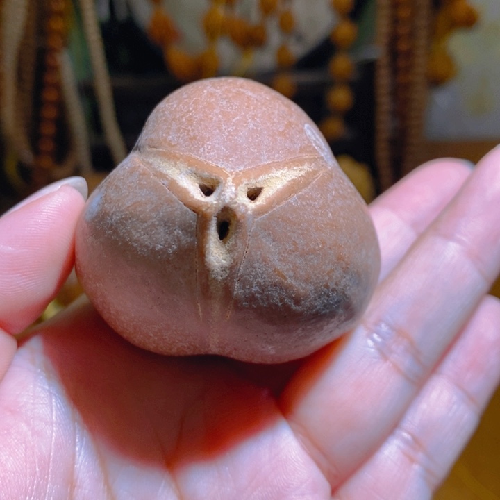 野生蟠桃三花大橄榄5060