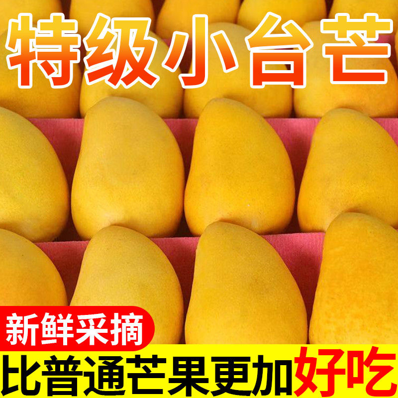 【大云南补贴】正宗小台农芒应季新鲜热带水果薄皮肉厚台农芒果