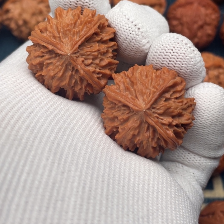 文玩核桃把件河豚三棱