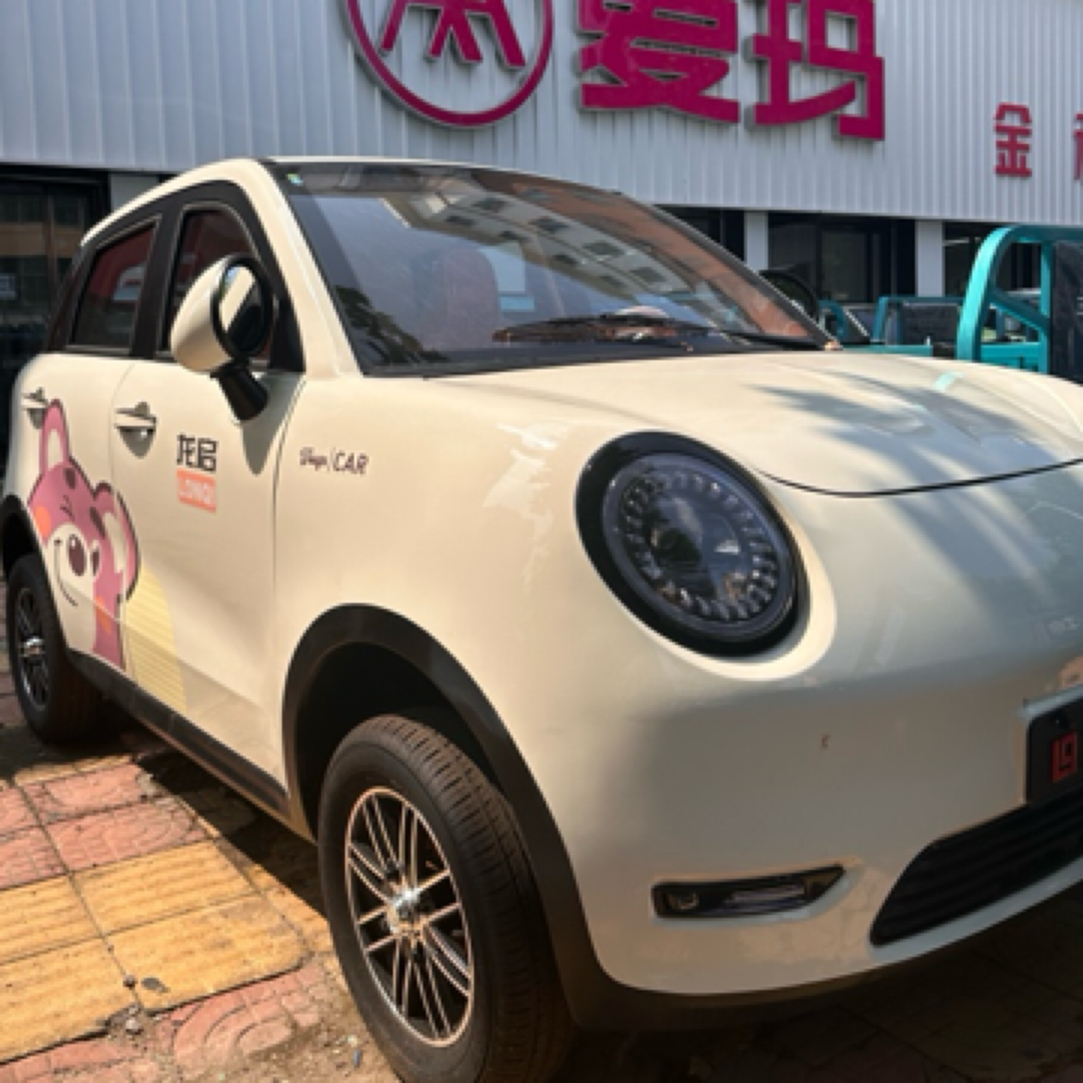 龙启 D20 新款全封闭电动四轮车女士家用小型新能源低速代步车