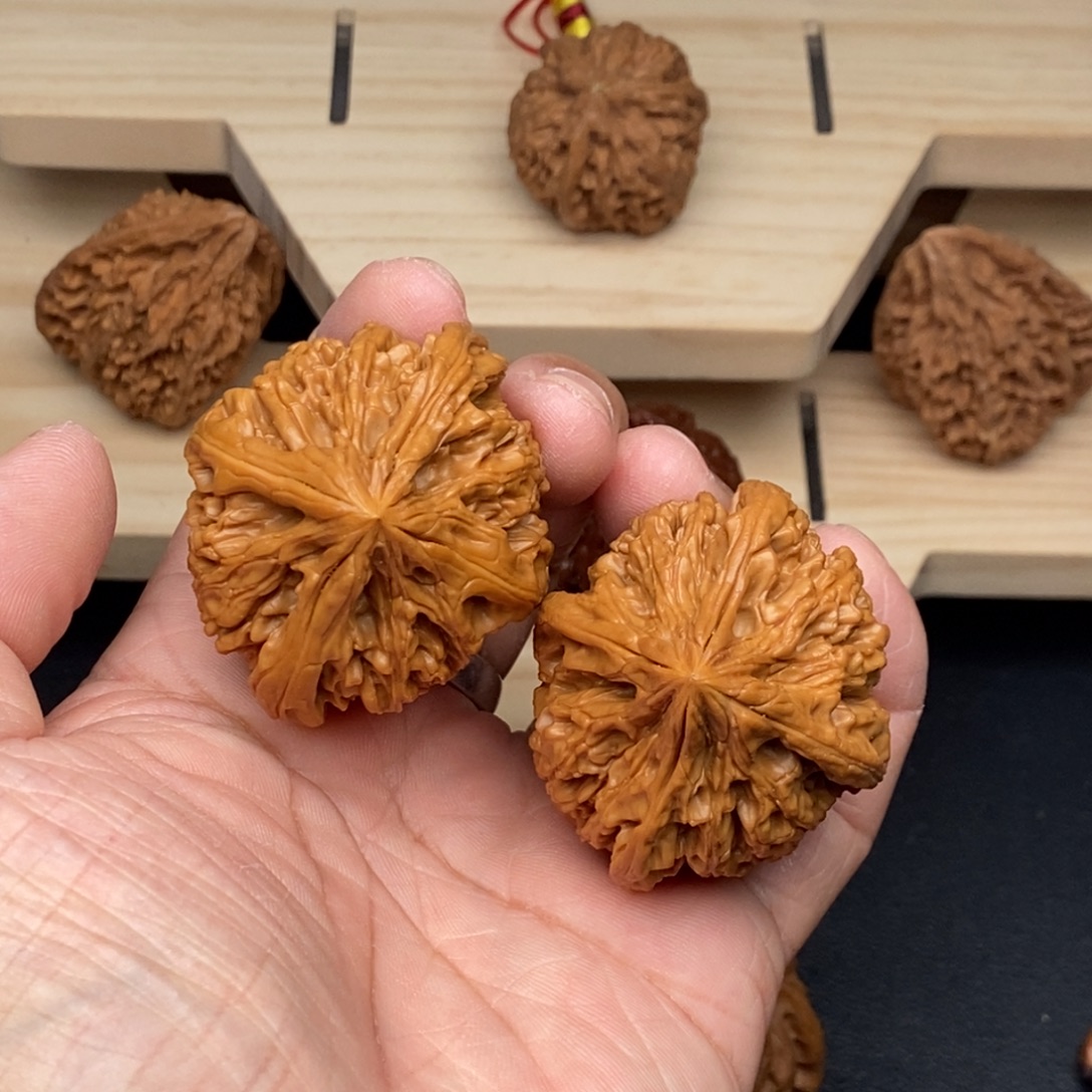 核桃手串/手链九龙筋大四棱