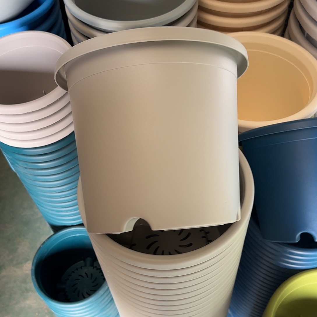 树脂微瑕5号6个无托，灰白