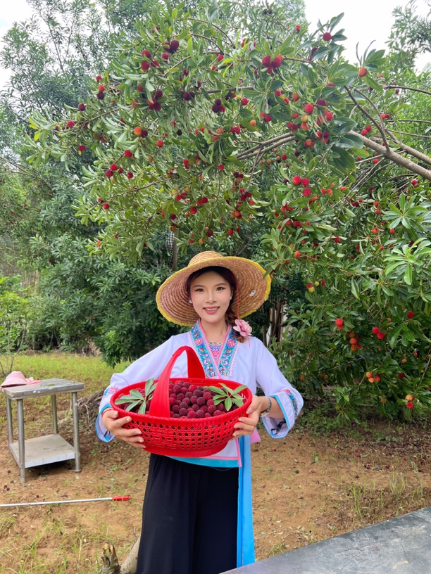 苗族日常服饰上衣短款夏季传统女士