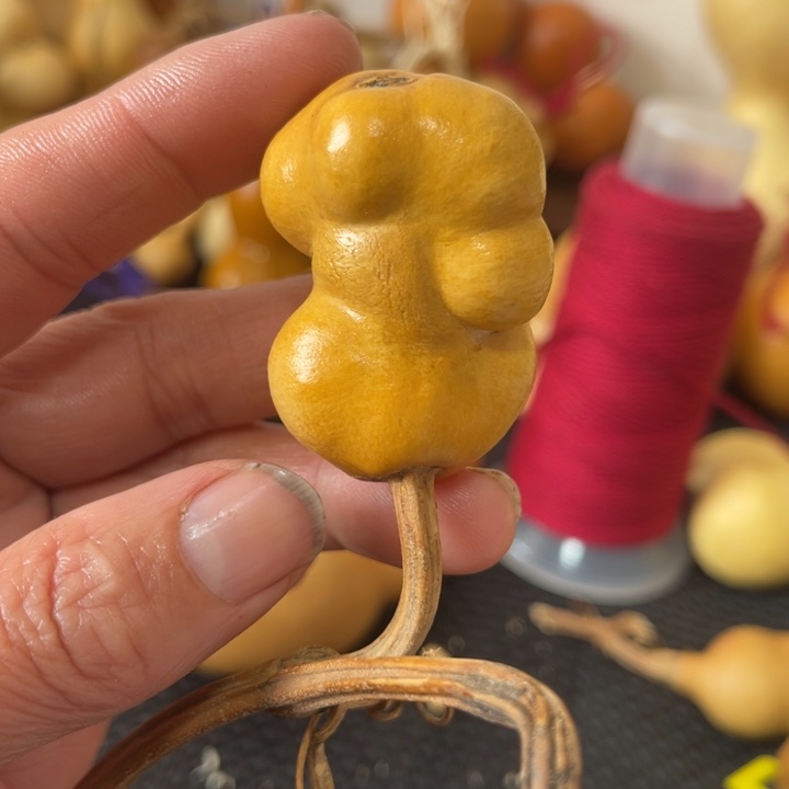 咕***噗葫芦哈哈哈哈哈哈好家伙