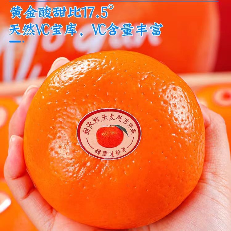 云南沃柑10斤大果礼盒