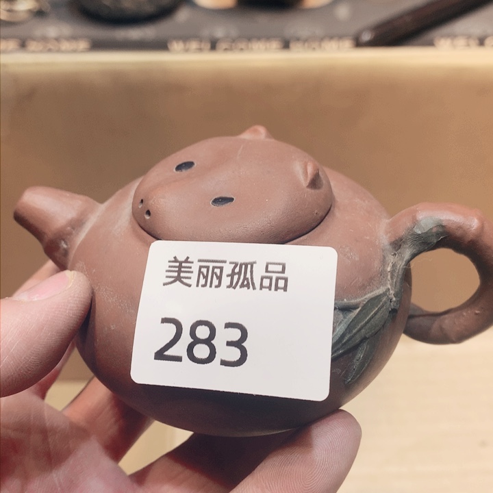 山**蛇孤品店的老板娘是我283