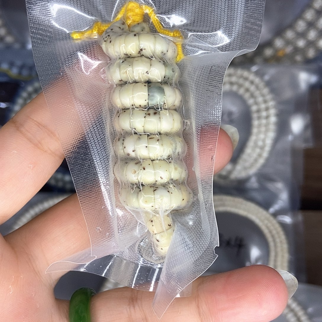 手串星月菩提星月