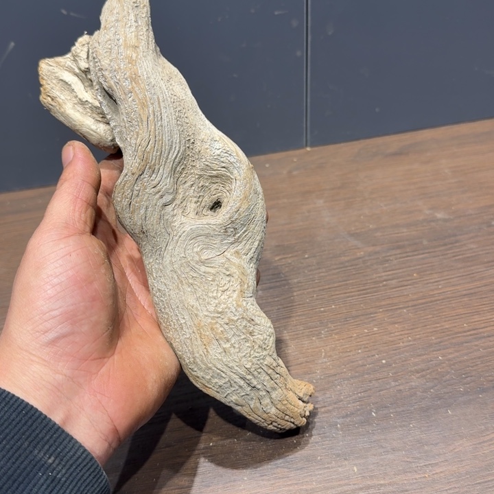 鑫***雅柏木（崖柏）电工健康坎坎坷坷科技