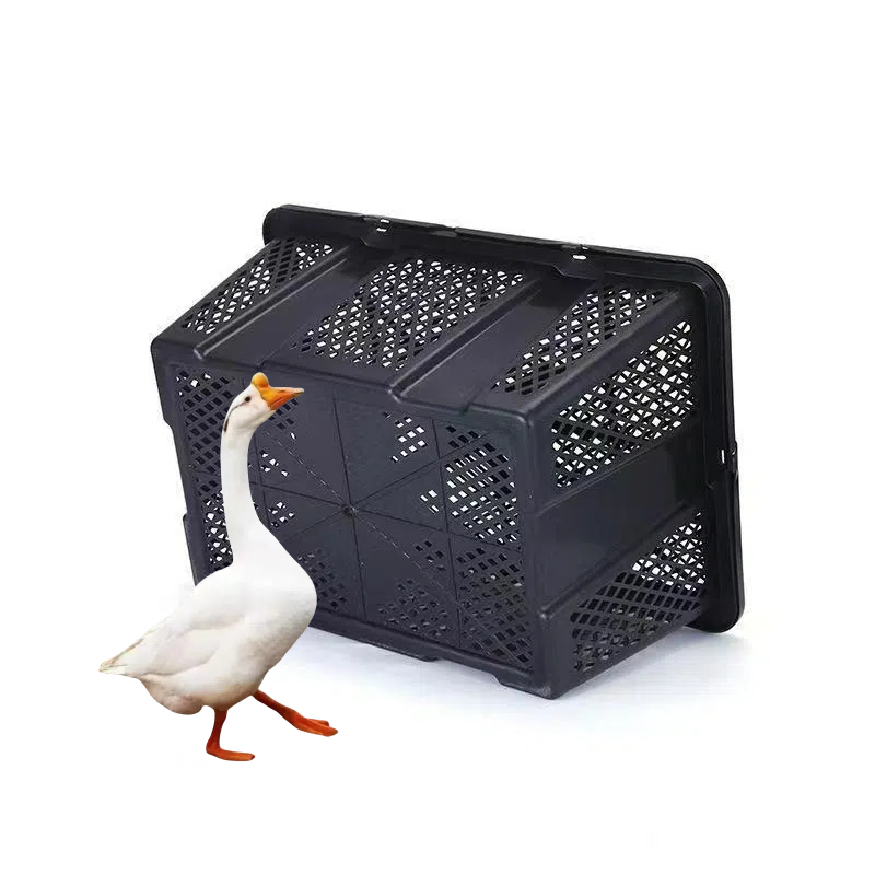 喂养大白鹅可装10只不挤抗压抗摔