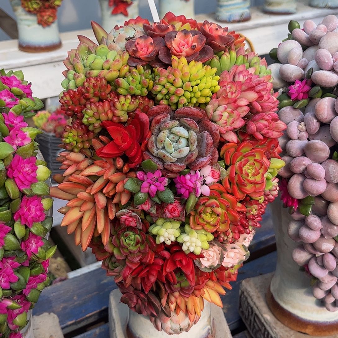 成品懒人彩色盆景