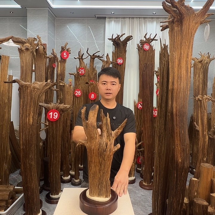 沉香碎屑沉香沉香原料