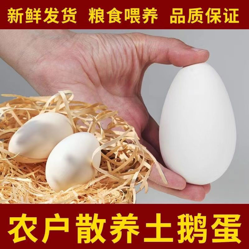 正宗农家散养土鹅蛋新鲜大鹅蛋安心蛋20枚 破损包赔