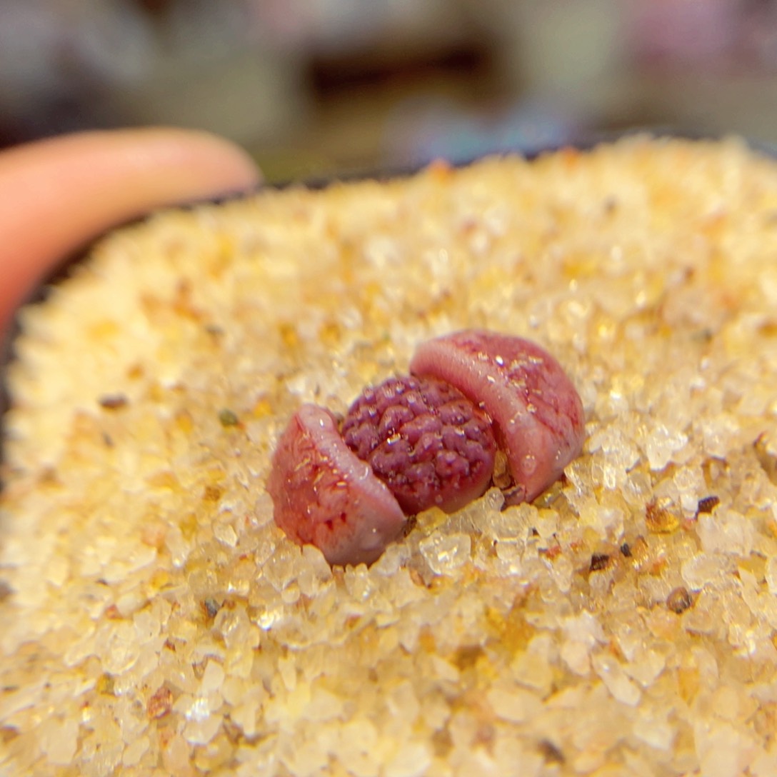 793. 568856876786657777