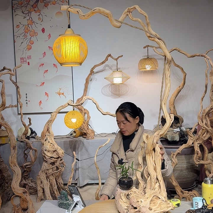 姑***姑杜鹃根艺术中心根灯