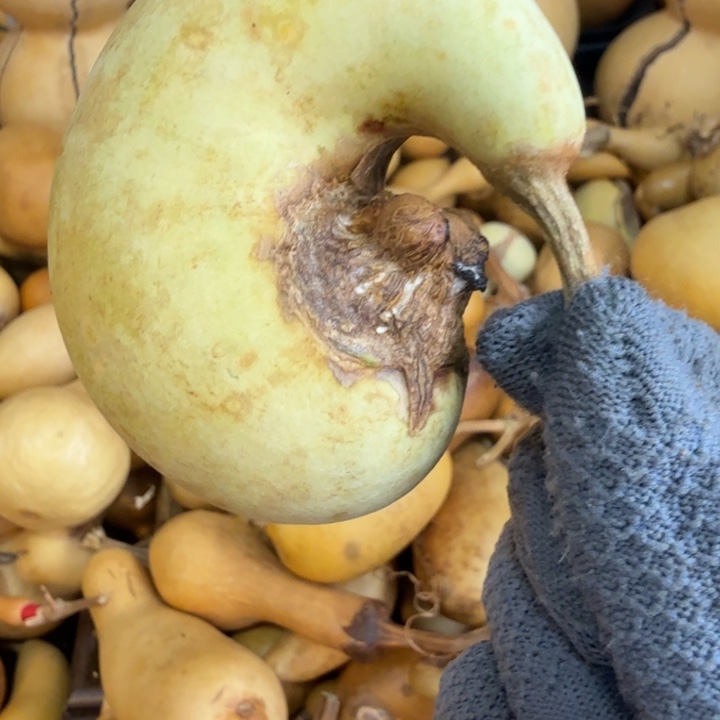 糖***德健健康康健健康康健健康康健健康康