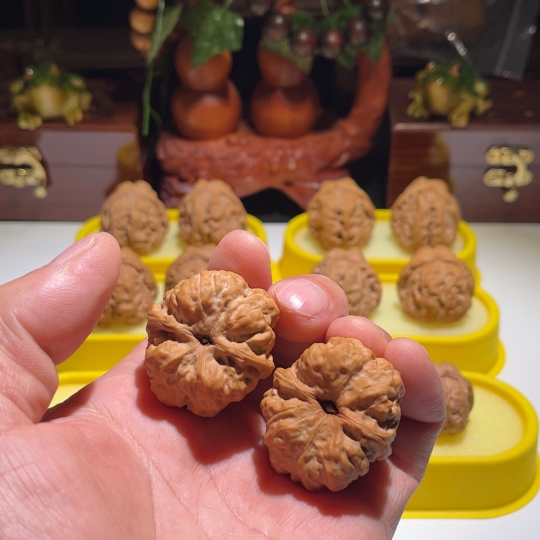 第***哥文玩核桃把件昌平娃直播中欢迎观看