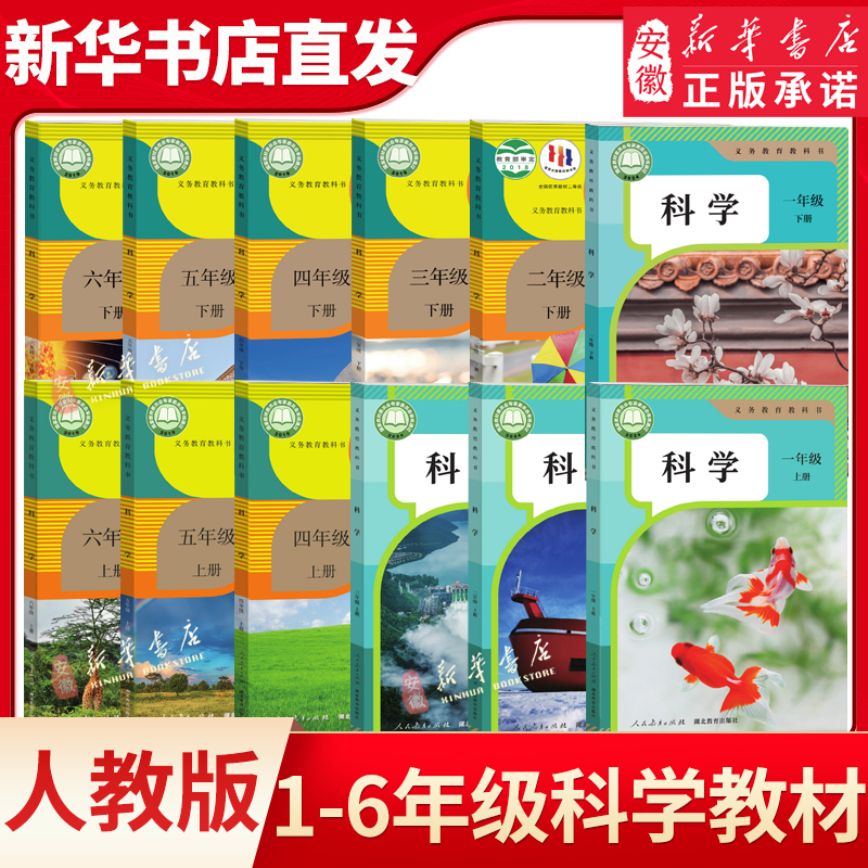 新版 人教版小学一二三四五六年级上册科学书课本教材教科书12345