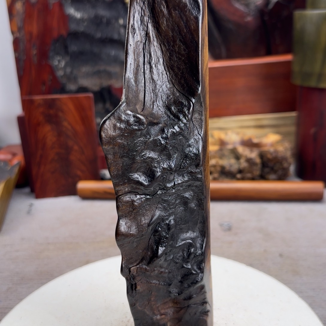 大果紫檀（缅甸花梨）秋*⋯