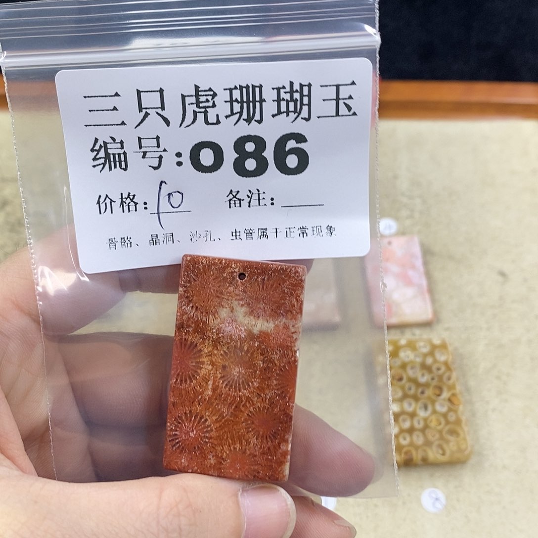 硅化珊瑚（珊瑚玉）1未镶嵌?***小