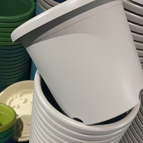 树脂四季4号微瑕灰白无托8个