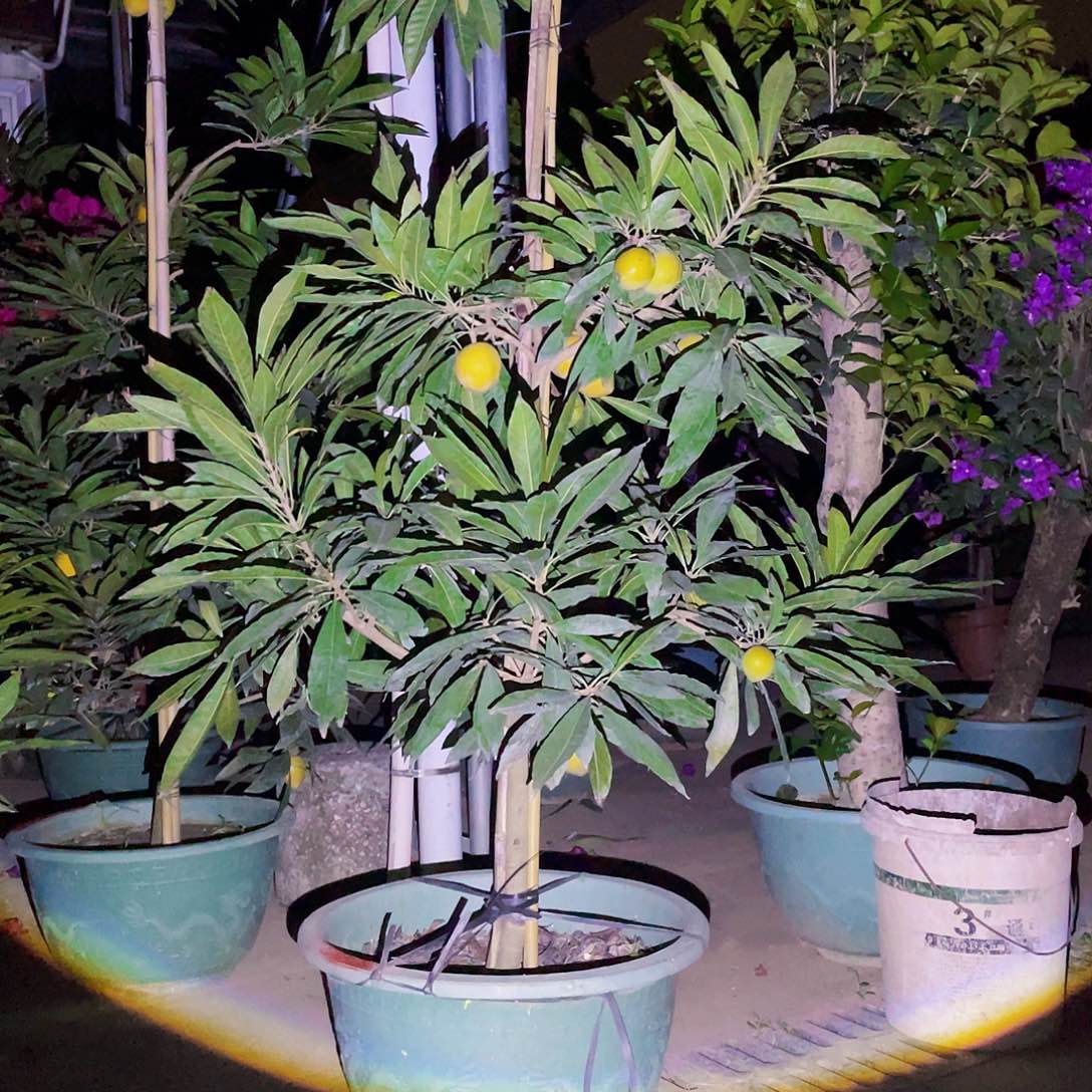 完全开放用****5g m 88888888888