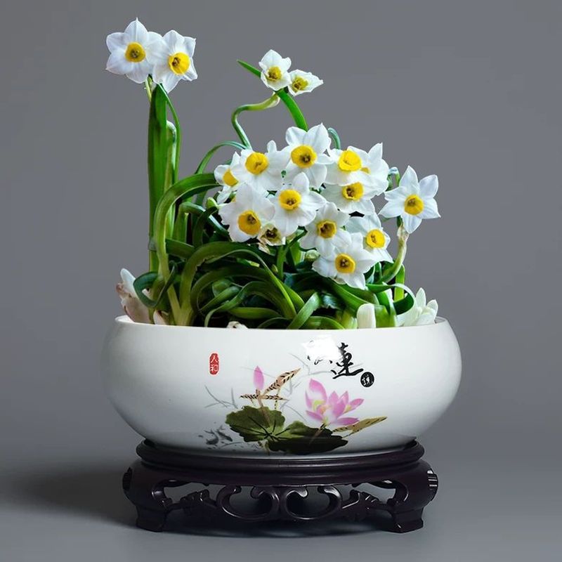 水仙花盆陶瓷批发创意水培容器铜钱草专用碗莲睡莲盆缸家用花盆