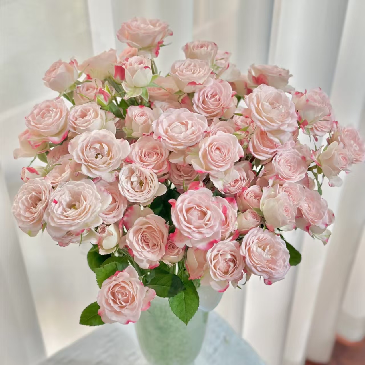 【折射】多头玫瑰 基地直发 | 全场鲜花任意满2单及以上包邮