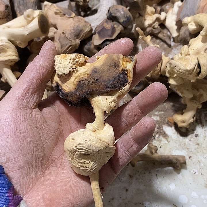 碧***美毛料毛料毛料毛料毛料