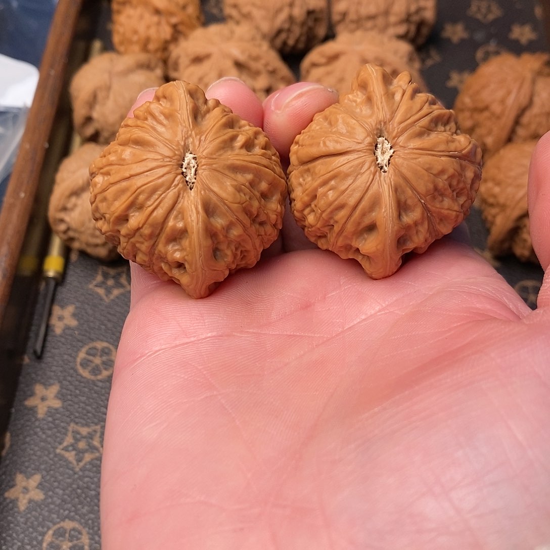 橄榄核手串/手链星***底铁锤42尺寸