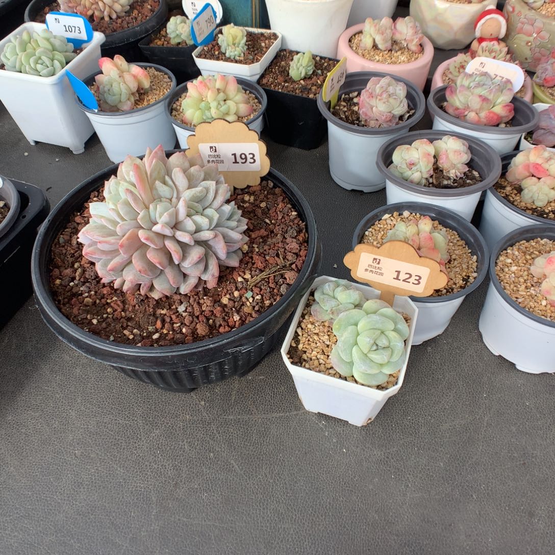 ****ﾟ123-193 扣除56余139