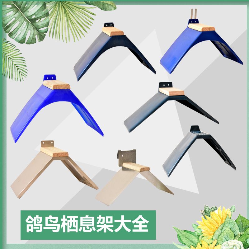 鸽子公棚站架信鸽栖息架鸽子休息站架鸽具用品