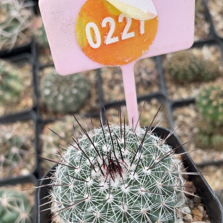 2***林实生0227000000000000