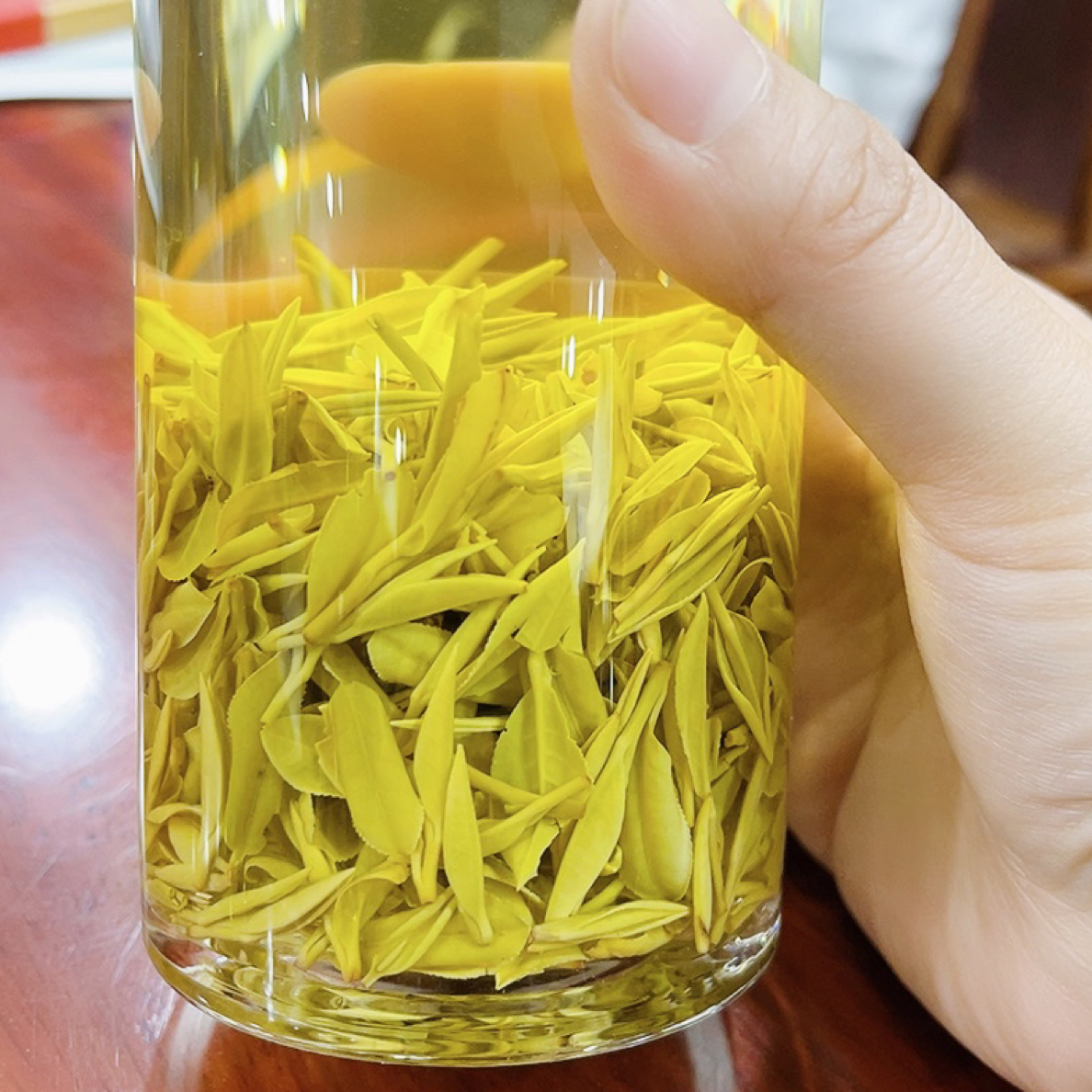 奶香安吉中黄黄金芽！茶汤鲜甜！有厚度！绿茶