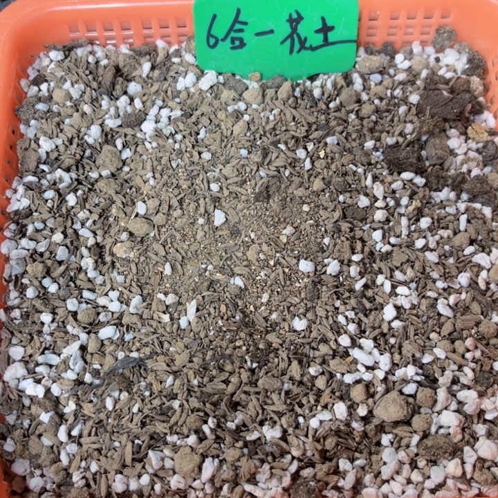 当前无花栽培后可以开花5斤花土