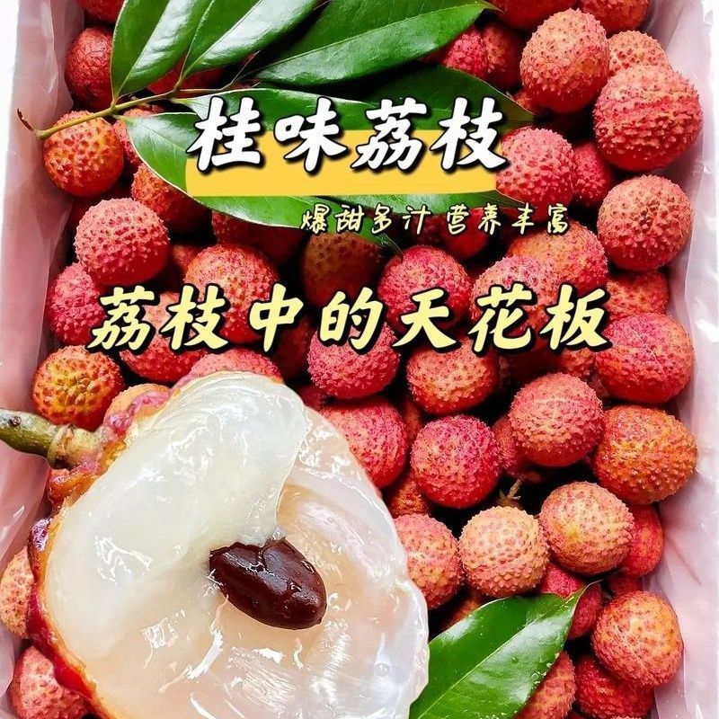【京东/极兔冷链】当季老树桂味荔枝新鲜上市清香可口包邮